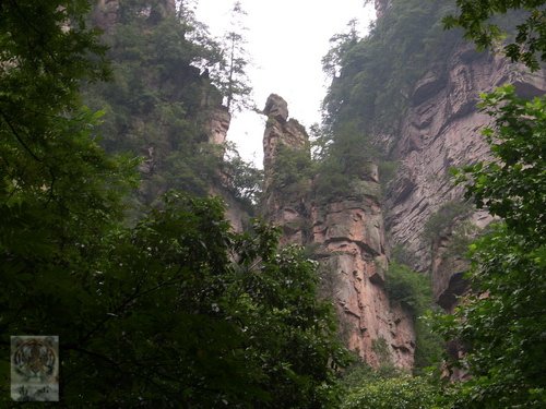 �����ۻ�������