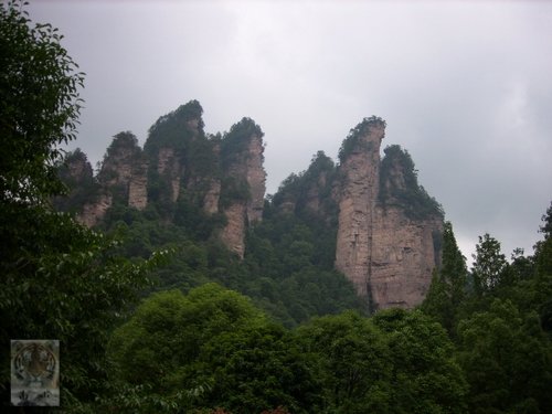 �����ۻ�������