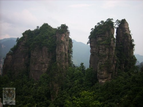 �����ۻ�������