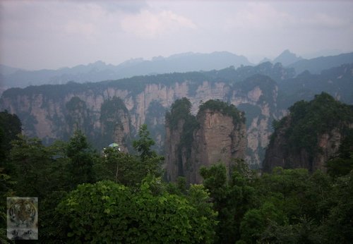 �����ۻ�������