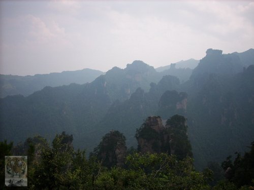 �����ۻ�������