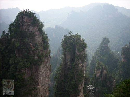 �����ۻ�������