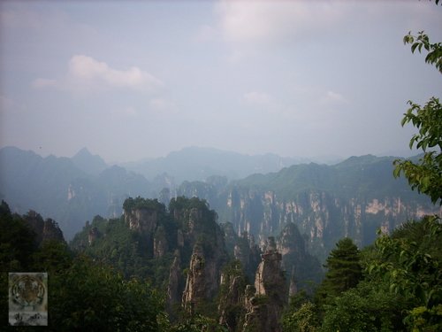 �����ۻ�������