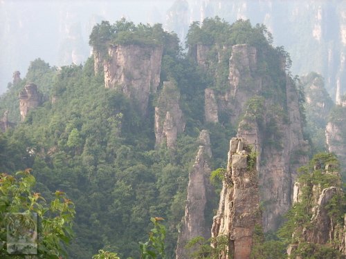 �����ۻ�������