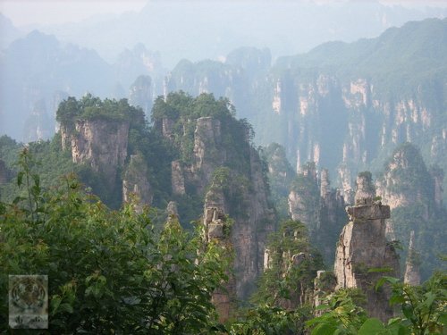 �����ۻ�������