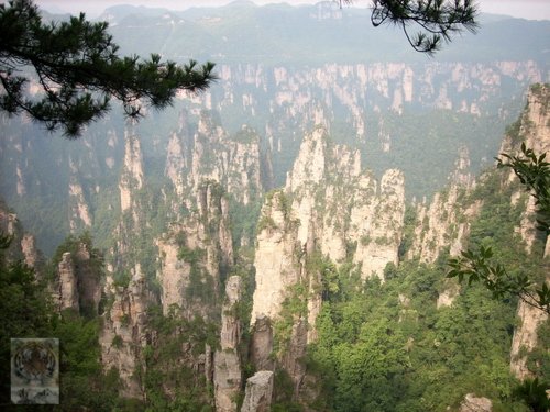 �����ۻ�������