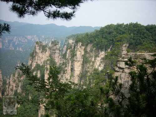 �����ۻ�������