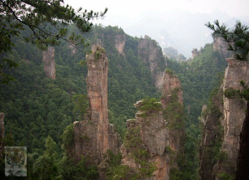 �����ۻ�������