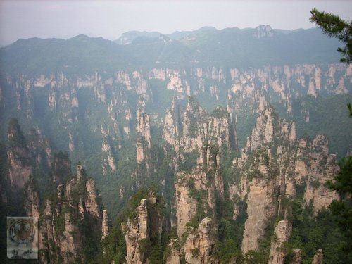 �����ۻ�������