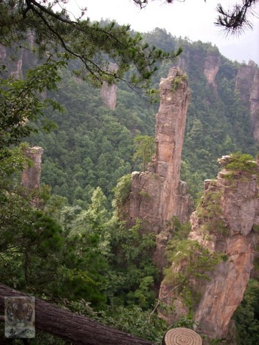 �����ۻ�������