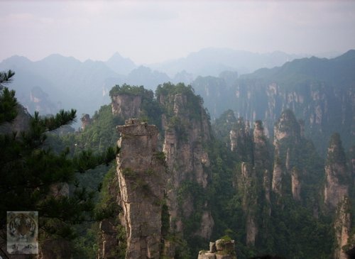 �����ۻ�������