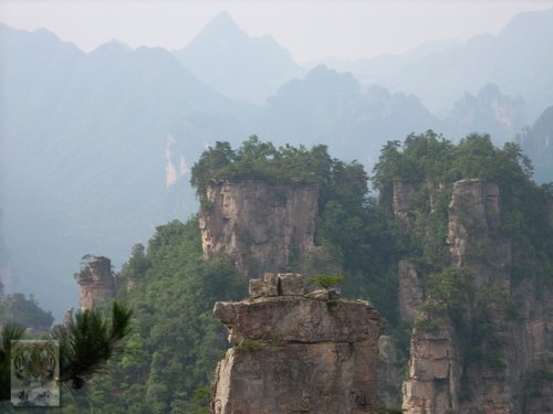 �����ۻ�������