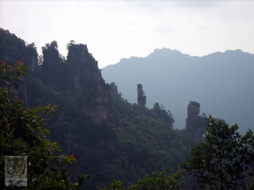 �����ۻ�������