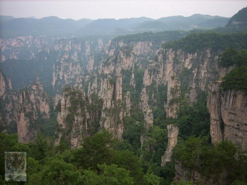 �����ۻ�������