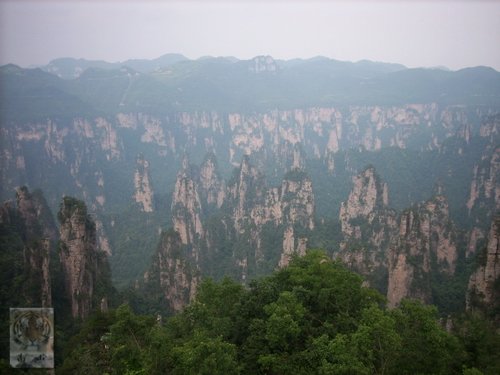 �����ۻ�������