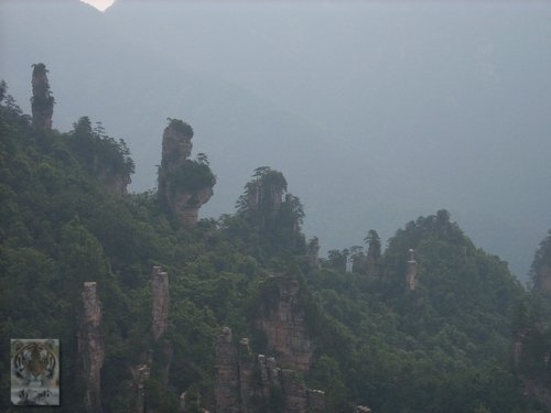 �����ۻ�������