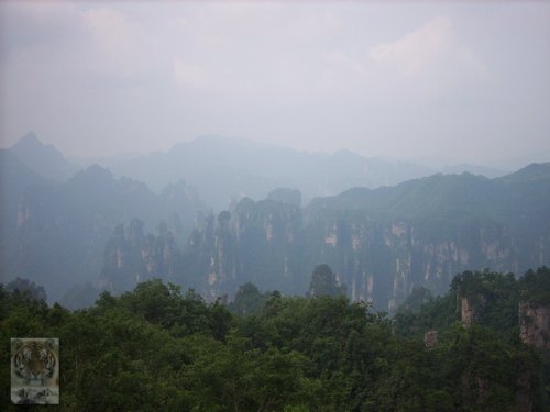 �����ۻ�������