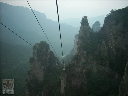 �����ۻ�������