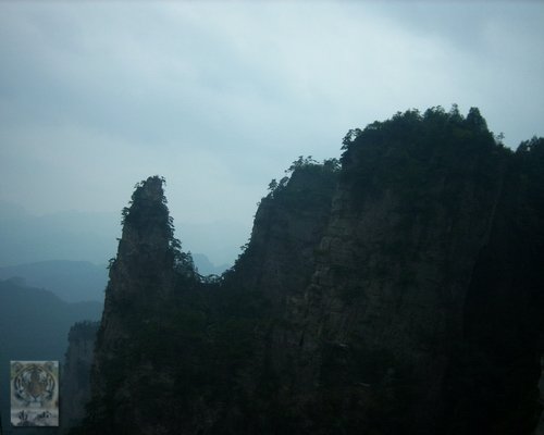 �����ۻ�������