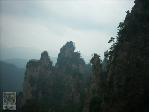 �����ۻ�������