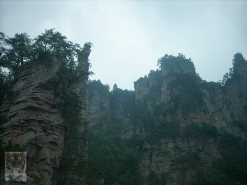 �����ۻ�������