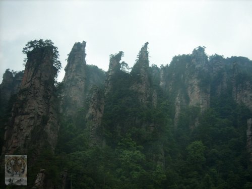 �����ۻ�������