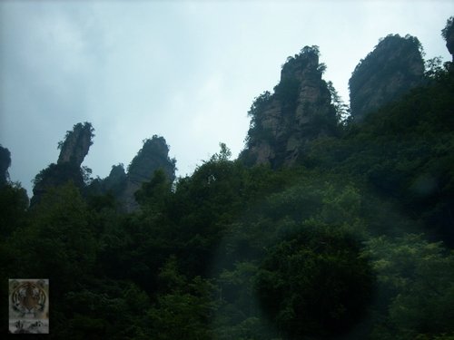 ۻ