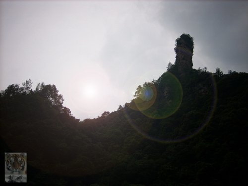 ۻ