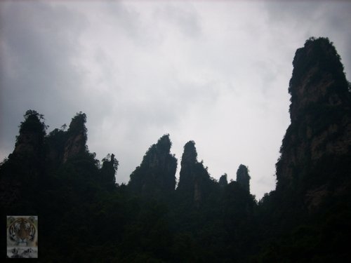 �����ۻ�������