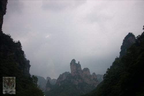 �����ۻ�������