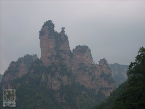 �����ۻ�������