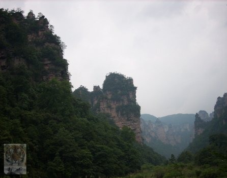 �����ۻ�������