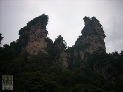 �����ۻ�������