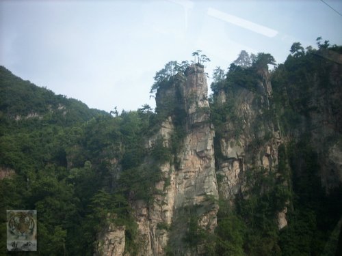 �����ۻ�������