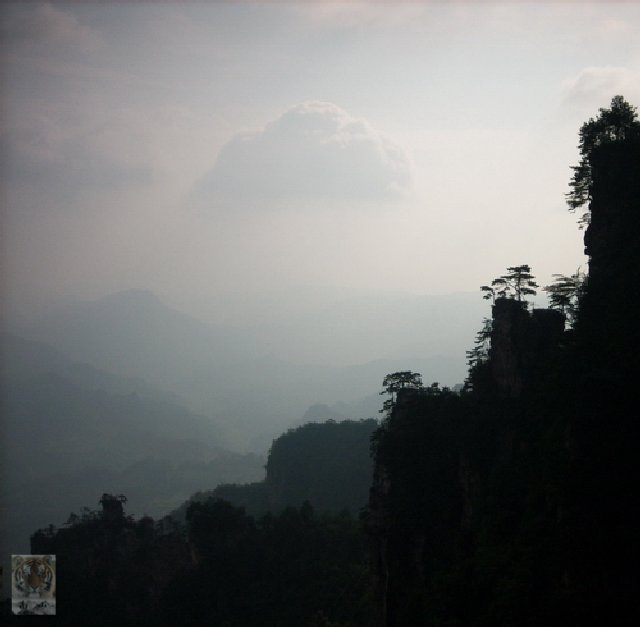 �����ۻ�������