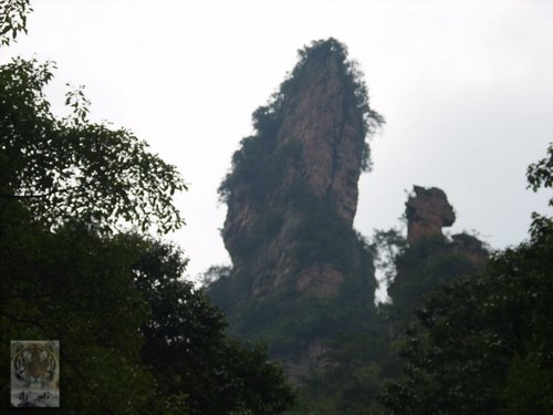 �����ۻ�������