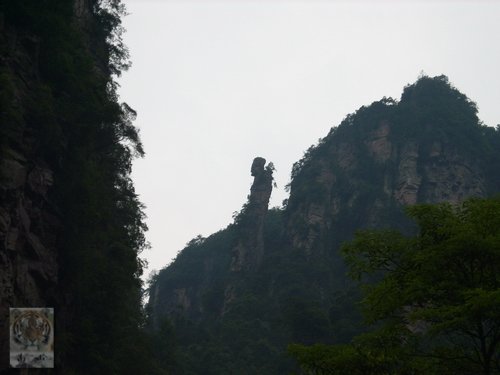 �����ۻ�������