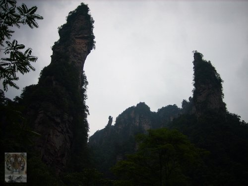 �����ۻ�������