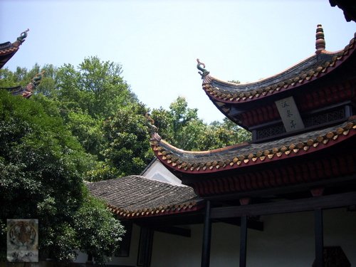 �����ۻ�������