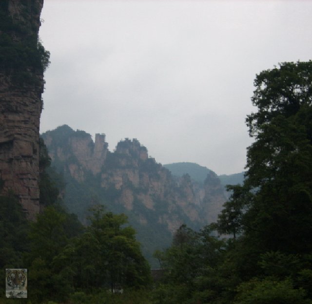 �����ۻ�������