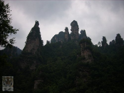 �����ۻ�������