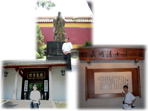 �����ۻ�������