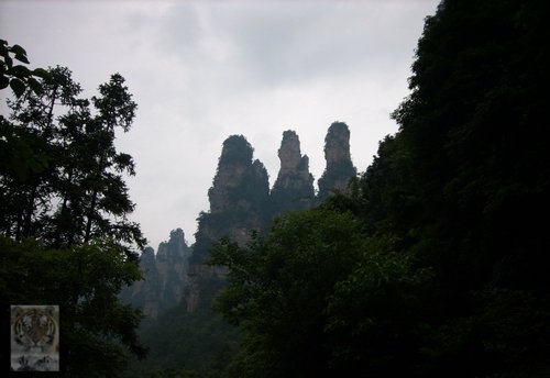 �����ۻ�������