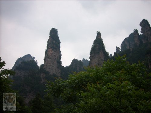 �����ۻ�������