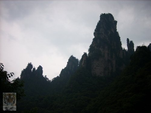 �����ۻ�������