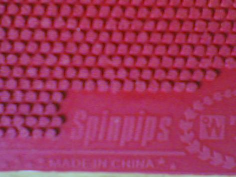 ����TSP��