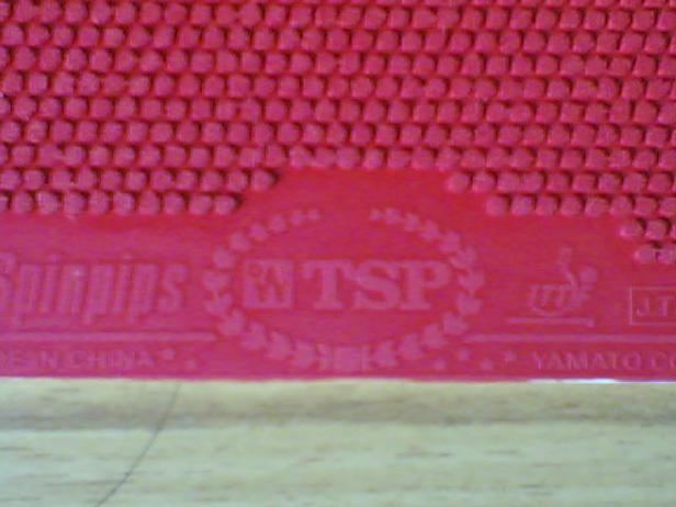 ����TSP��