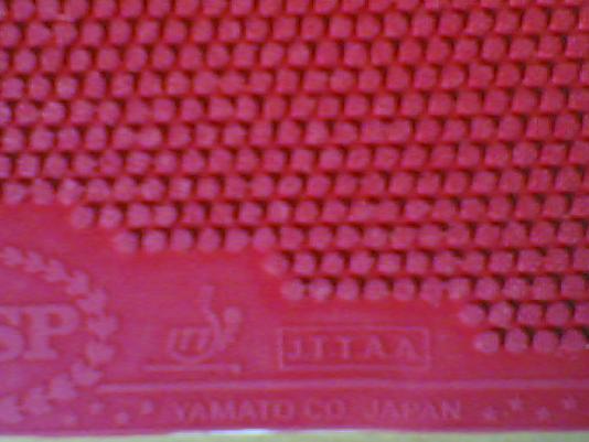 ����TSP��