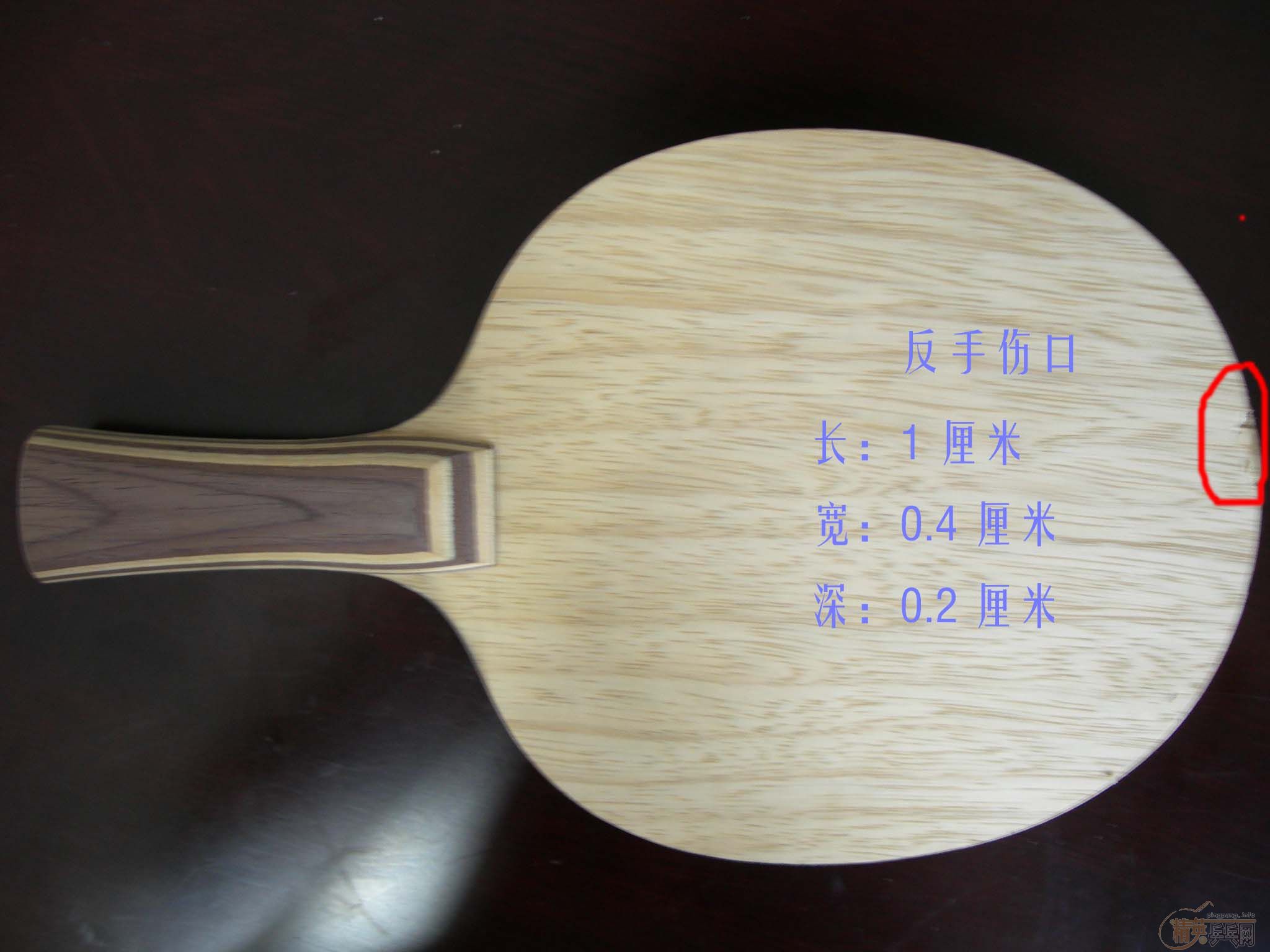 ���ͼ۸����EG  �Ʊ��������ֺ��½�Ƥ����������