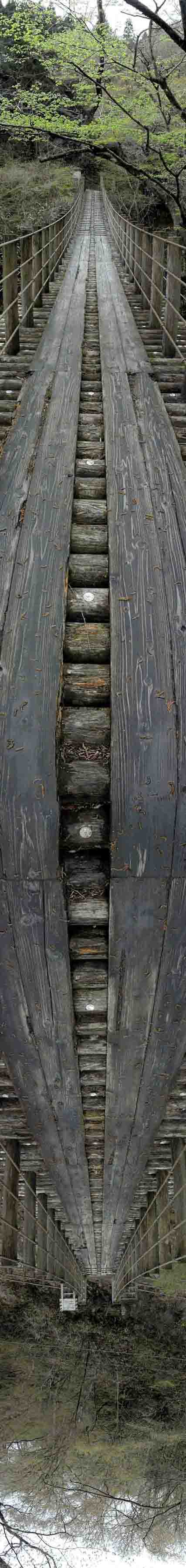 [��ͼ]���˱�֤�ε�ͼƬ��������